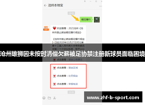 沧州雄狮因未按时清偿欠薪被足协禁注册新球员面临困境 沧州雄狮因未按时清偿欠薪被足协禁注册新球员面临困境